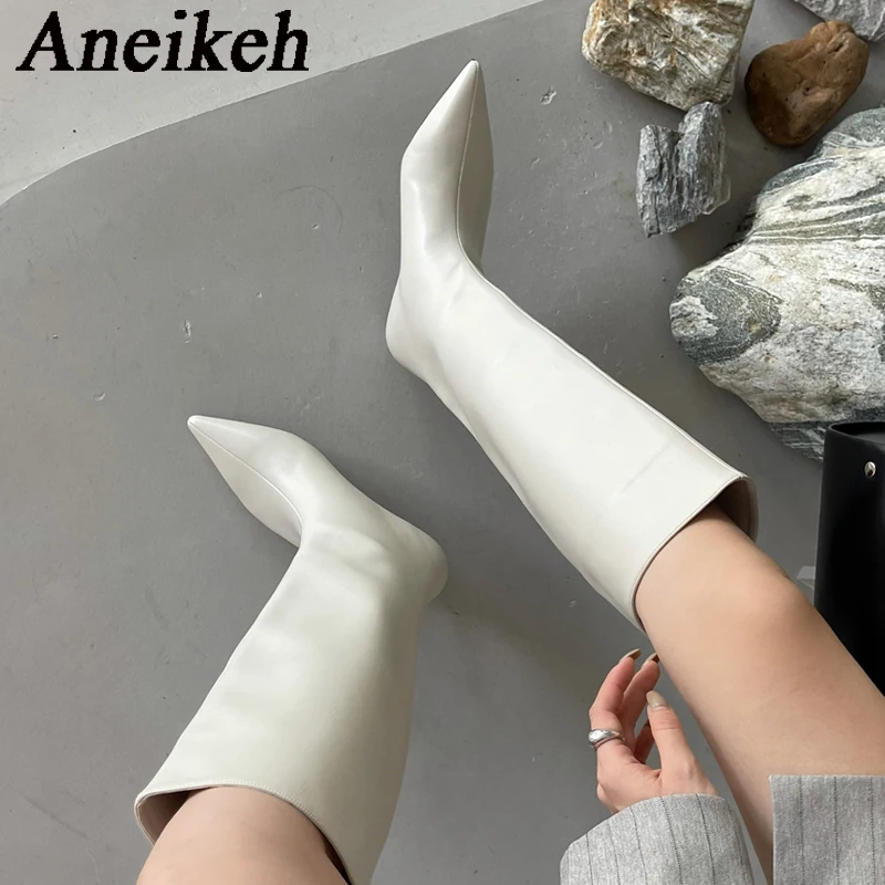 Aneikeh 2026 mode Sexy pointu  - High Knee Heel Boots avis et prix