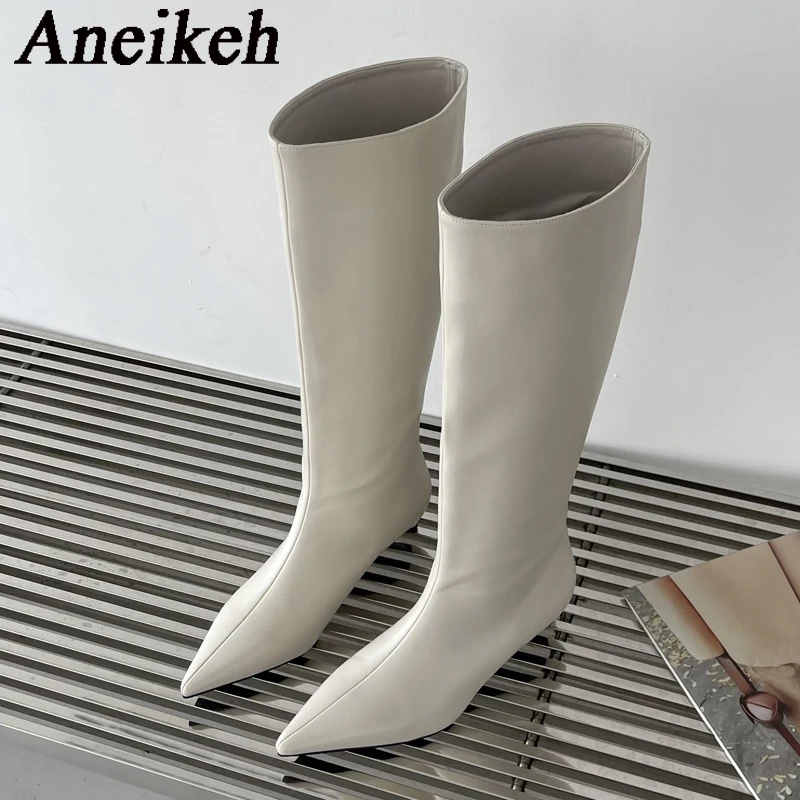 Aneikeh 2026 mode Sexy pointu  - High Knee Heel Boots avis et prix